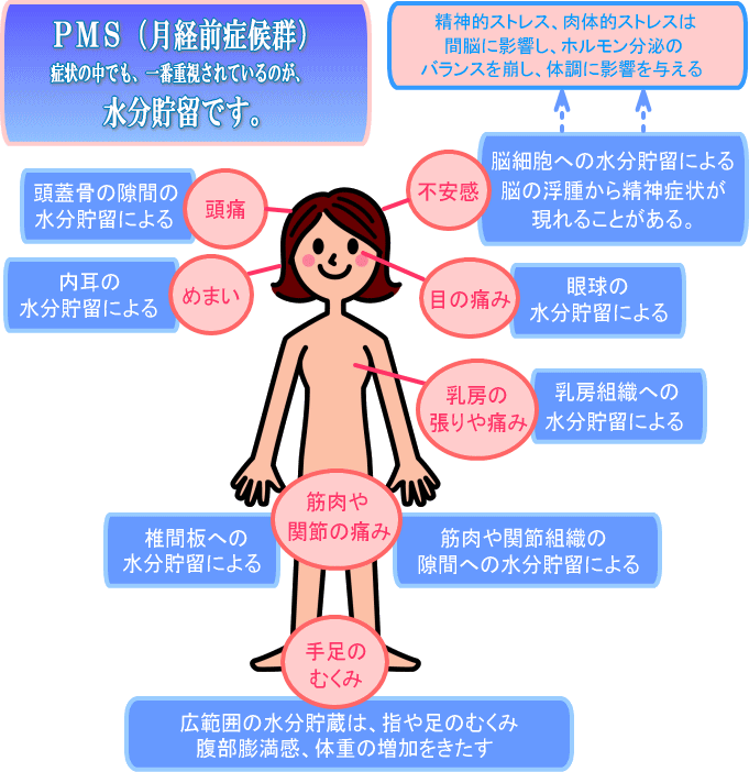 症候群 症状 前 生理 あなたも月経前症候群？PMSの主な症状・緩和のコツ [婦人病・女性の病気]