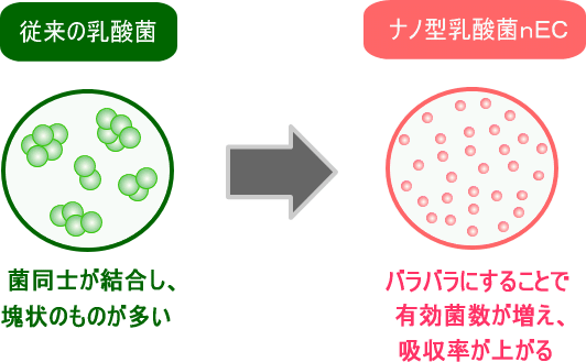 笹塚クリニック メディカルサプリメント ナノ型乳酸菌 ｎＥＣ乳酸菌